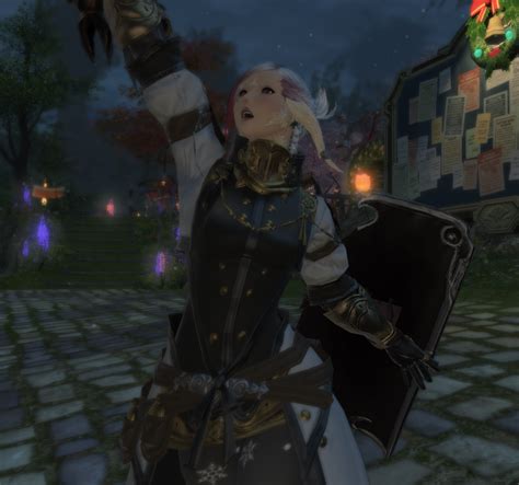 ff14 paladin guide